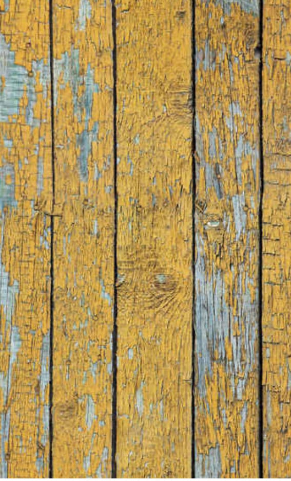Customer photo review of Holey Moley - One Step Paint