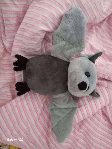 Customer photo review of Laber-Fledermaus *Bob*