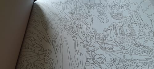 Customer photo review of 36 Pages Fantaisie Enchanteresse Livre À Coloriage
