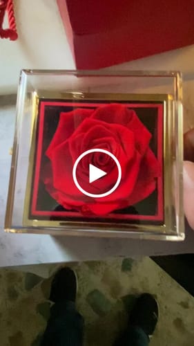 Customer video review of Eternal Rose Box - W/ Engraved Necklace & Real Rose