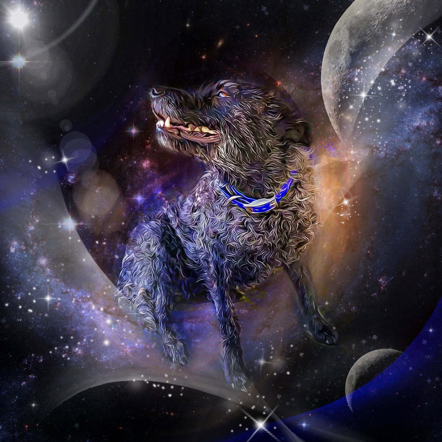 Customer photo review of Watercolor Pet Art - Pet Galaxy (PG)