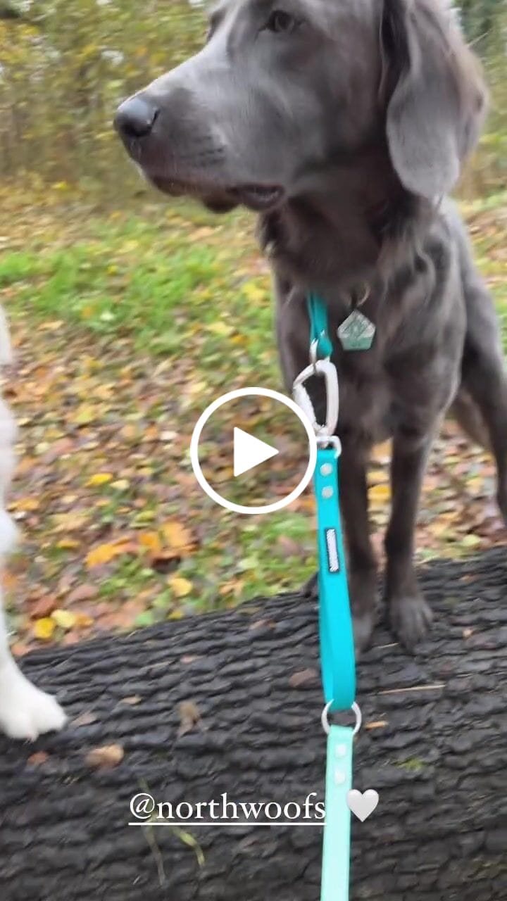Customer video review of The Multi QuickLead™ - Dog Leash