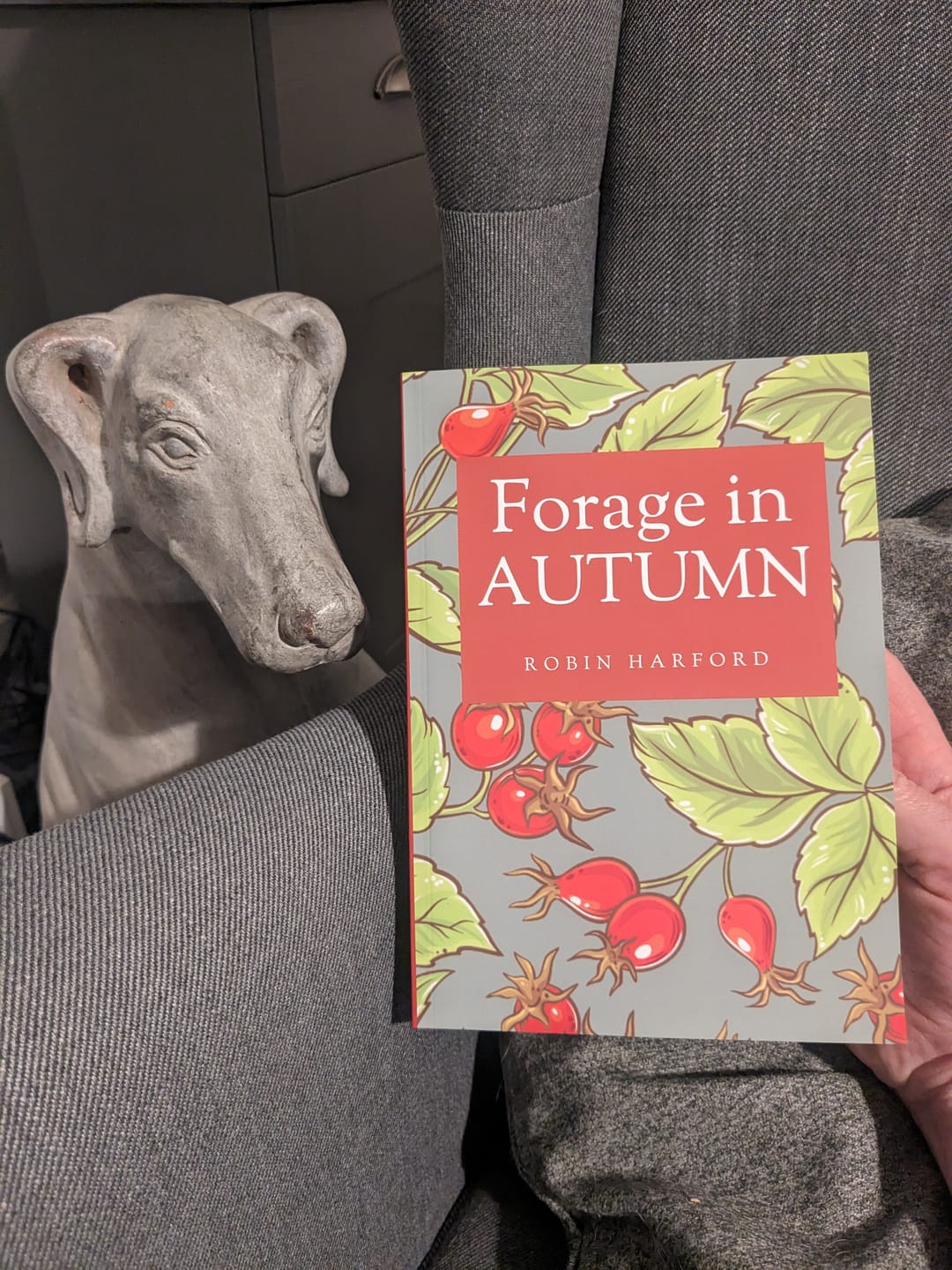 Customer photo review of Forage in Autumn: The Food and Medicine of Britain’s Wild Plants