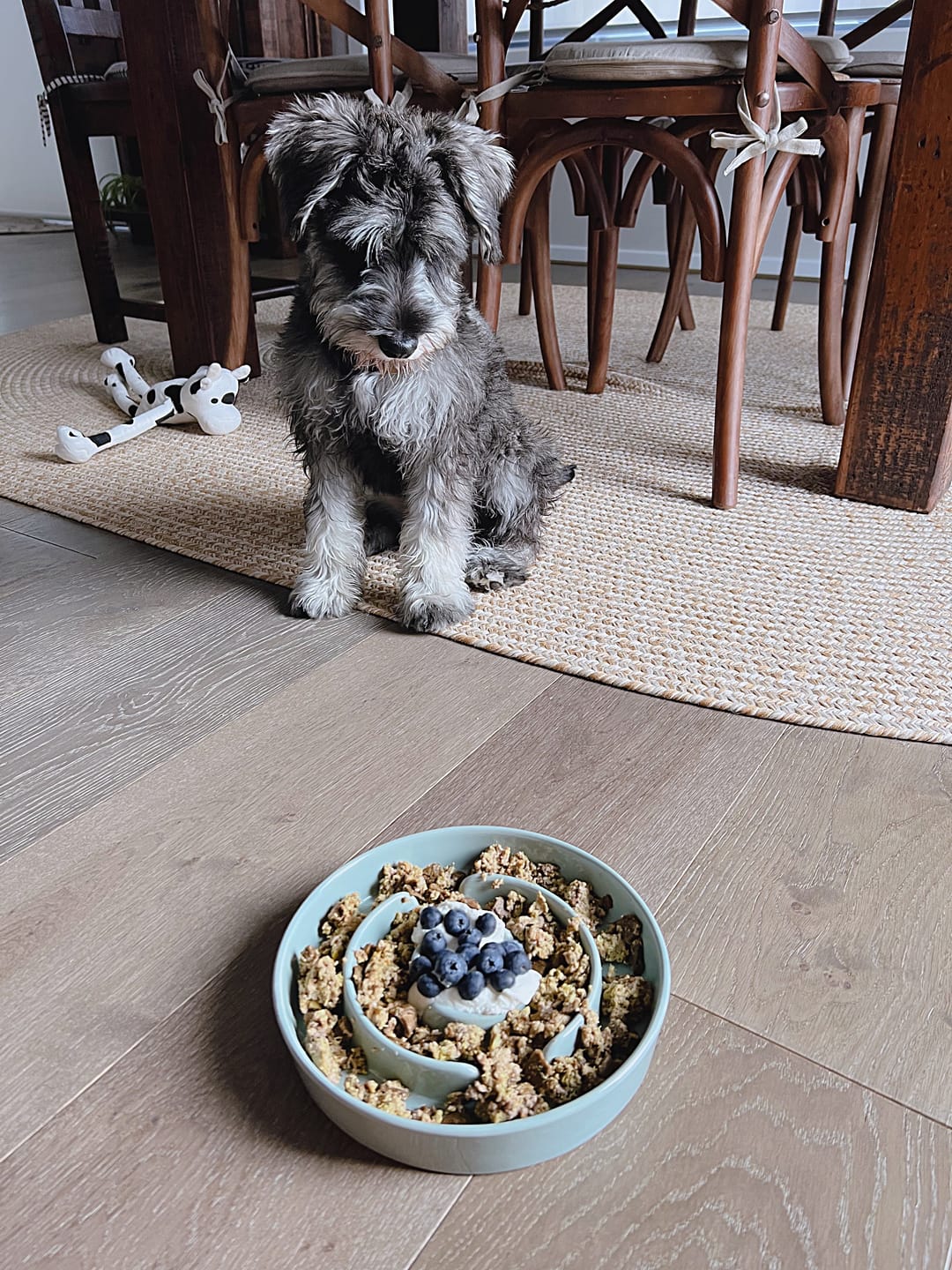Customer photo review of Ceramic Slow Feeder Pet Bowl for Dogs and Cats