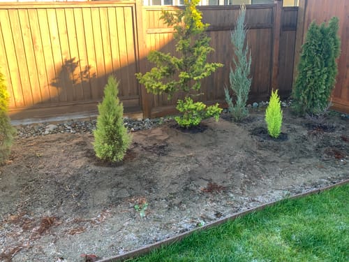 Customer photo review of Myke Tree And Shrub Growth Supplement 4 L