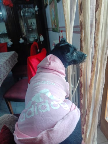 Customer photo review of Felpa "Adidog" Rosa Personalizzabile con nome