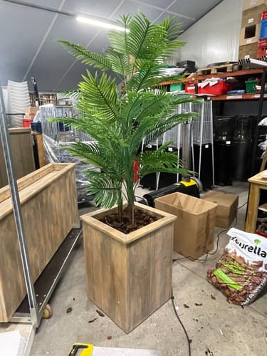 Customer photo review of Kunstpalm 180cm