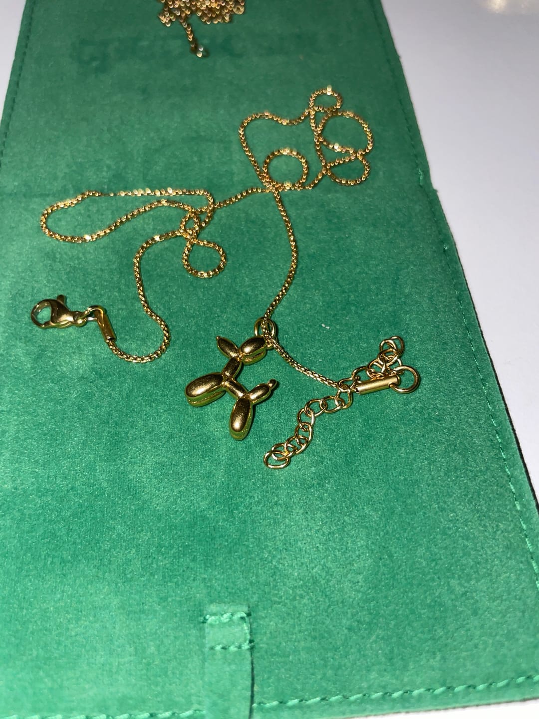 Customer photo review of Collar Doggy