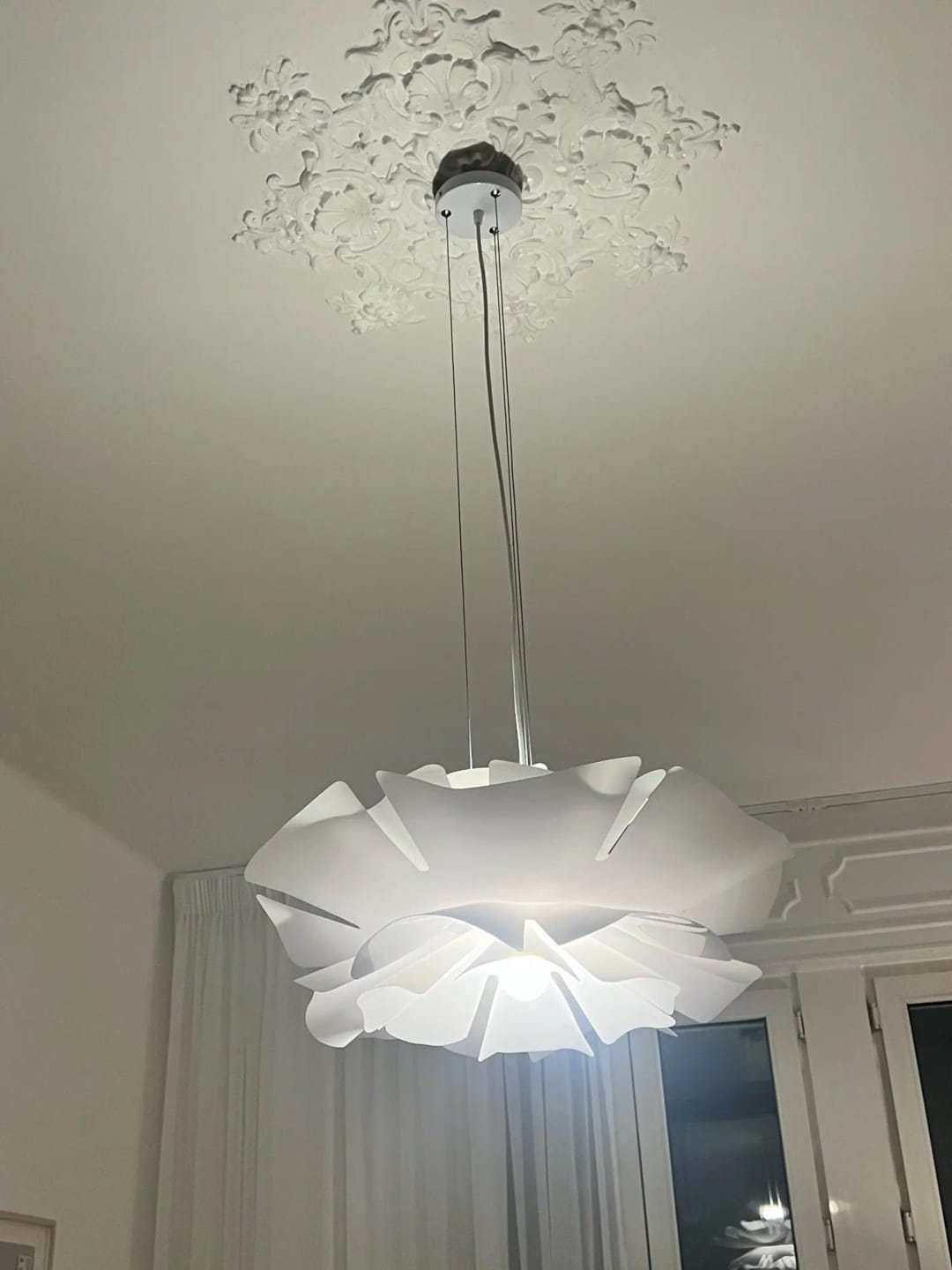 Customer photo review of ROSE