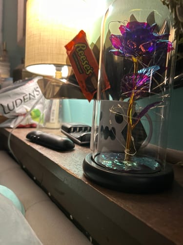 Customer photo review of Enchanted Galaxy Forever Rose™