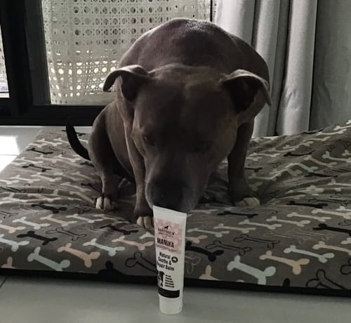Customer photo review of DoggieBalm Manuka