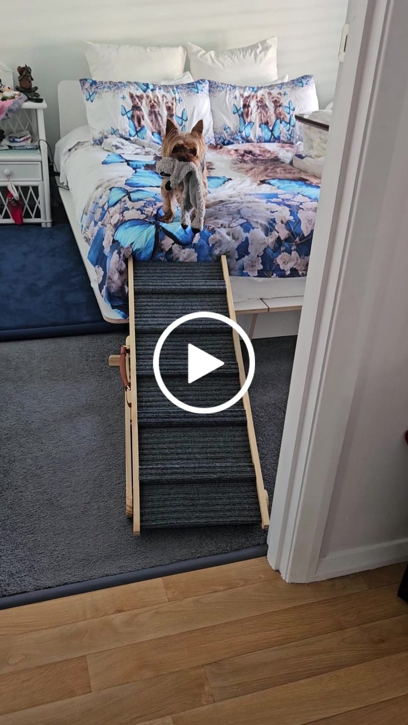 Customer video review of Pawz Wood Adjustable Height Pet Ramp Stair