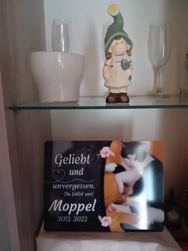 Customer photo review of Katzen Gedenktafel mit Foto & Spruch (UV- & Wetterfest)
