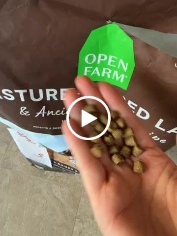 Customer video review of Pasture-Raised Lamb & Ancient Grains - Dry Dog Food - Open Farm