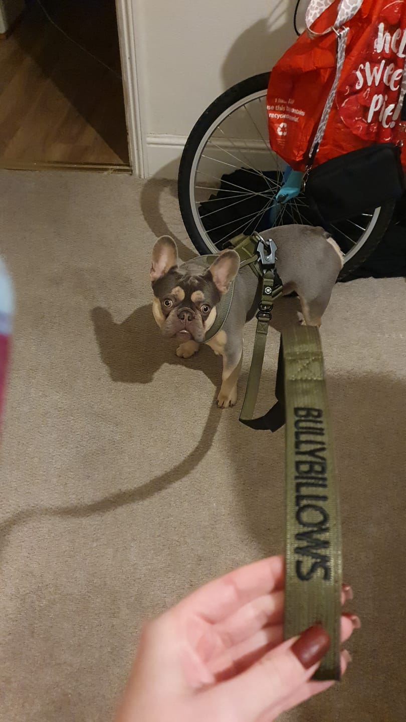 Customer photo review of 1.4m Swivel Combat Lead | Neoprene Lined, Secure Rated Clip with Soft Handle - Khaki