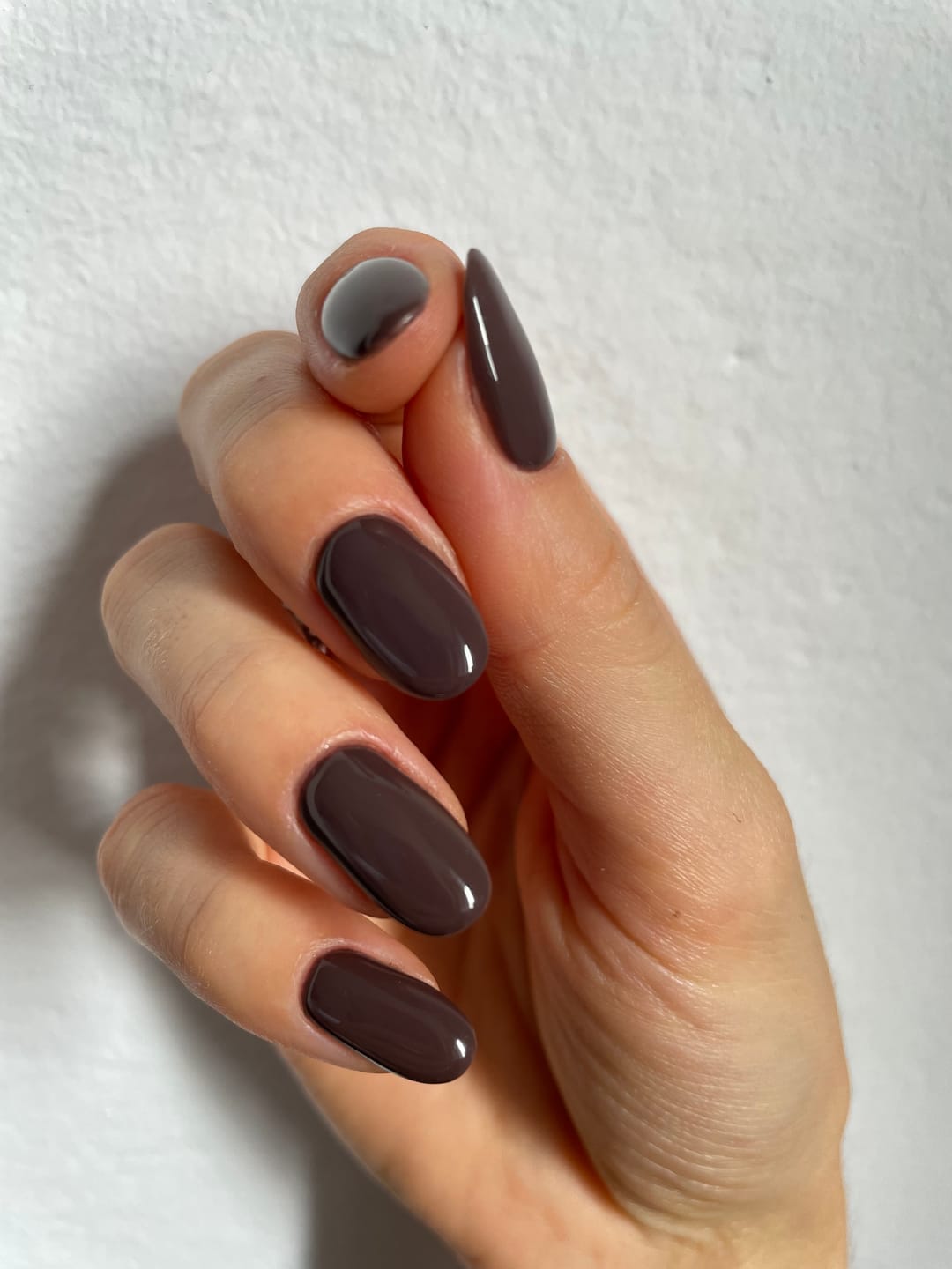 Customer photo review of Smalto Semipermanente LCI -  Brownie
