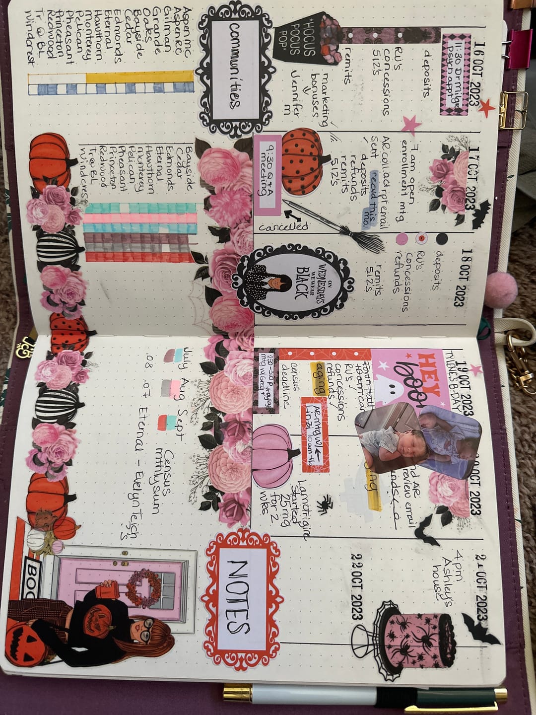 Customer photo review of Hey Boo Halloween Sticker Book