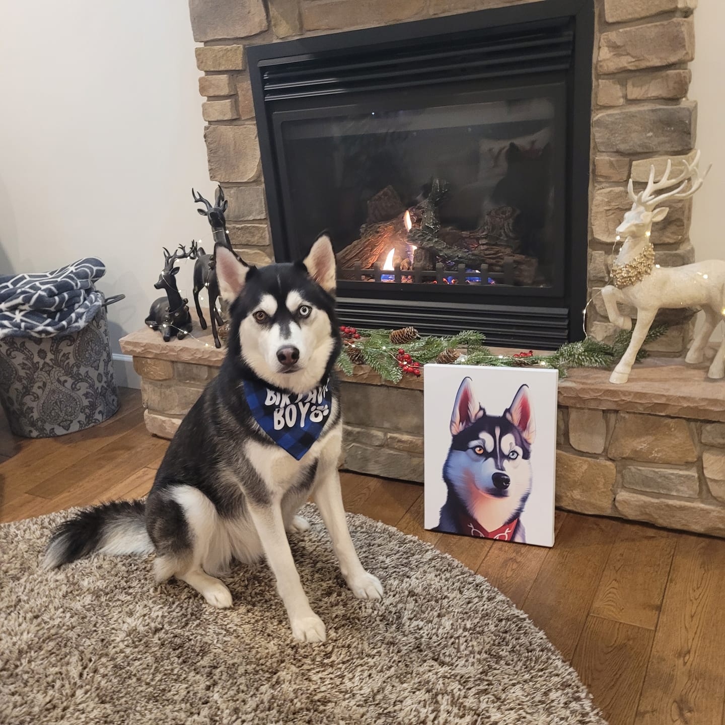 Customer photo review of Custom Pet Portrait - 1 Pet