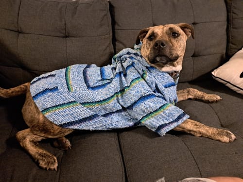 Customer photo review of Playa Poncho - Surprise Color