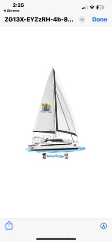 Customer photo review of Custom Digital Boat Artwork