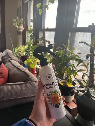 Customer photo review of Houseplant Insecticide w/ Neem