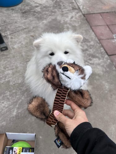 Customer photo review of Wibbleez - Stretch & Squeak