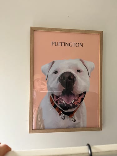 Customer photo review of One-Pet Portrait