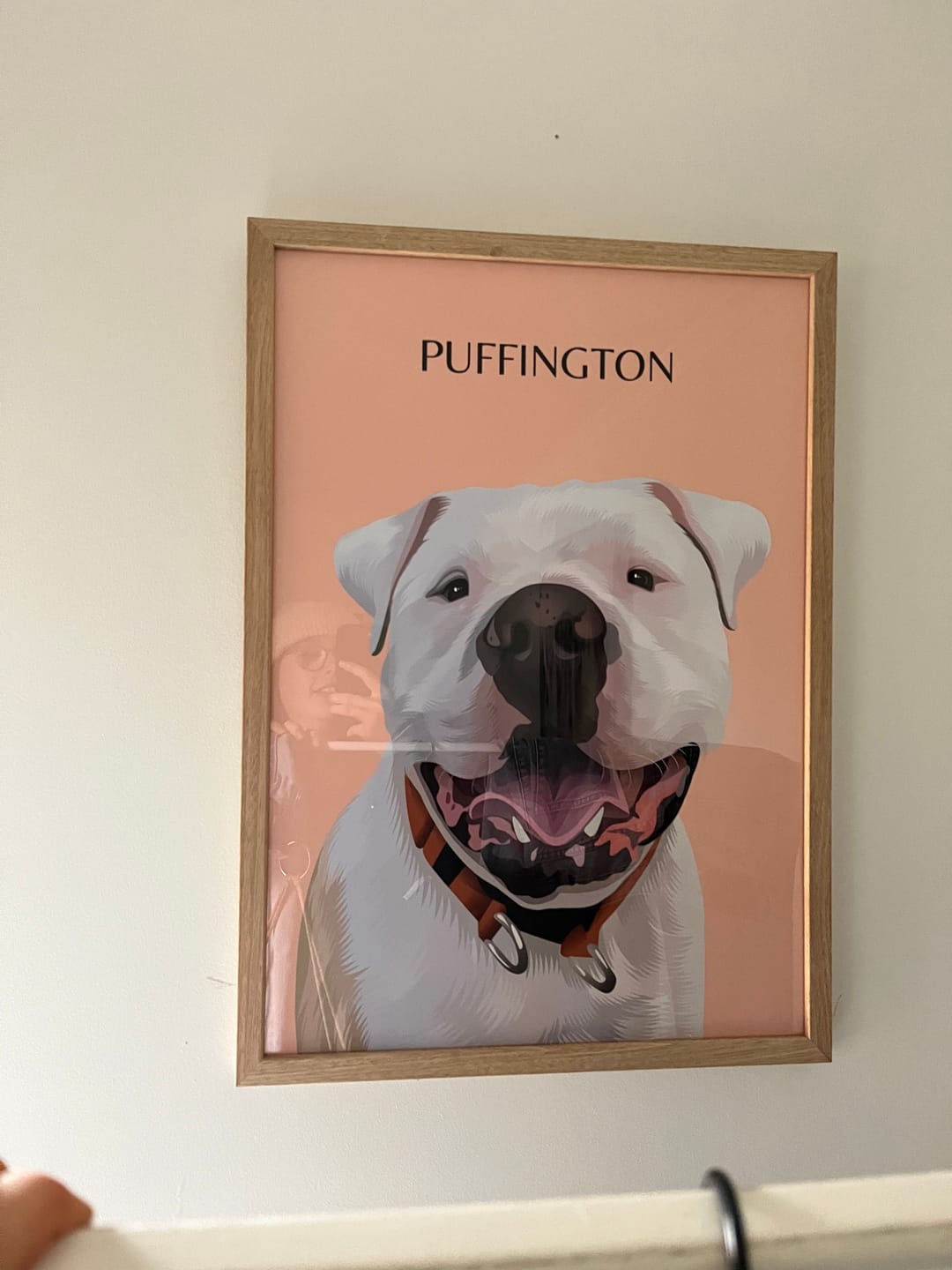 Customer photo review of One-Pet Portrait
