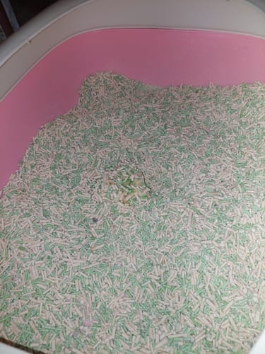 Customer photo review of PANI 99%無塵豆腐砂-原味 薰衣草 綠茶 7L 6入/箱