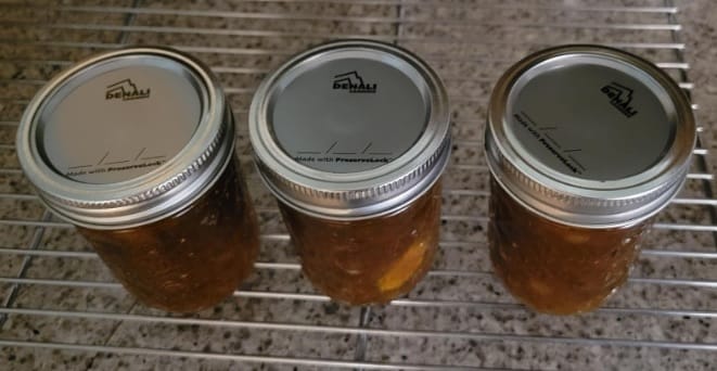 Customer photo review of Case of 20 – Denali Lids – 12 Canning Lids Per Pack – Regular Mouth