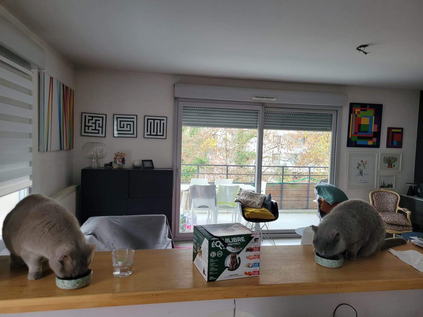 Customer photo review of Friandises riches en saumon (chat adulte)