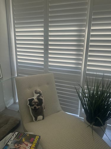 Customer photo review of Create A Custom Anything Pillow
