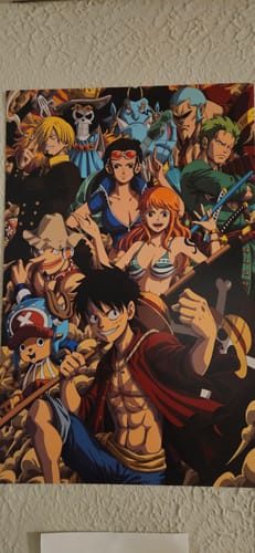 Customer photo review of The Straw Hat Crew [Metal] [Limited 15 Pcs]