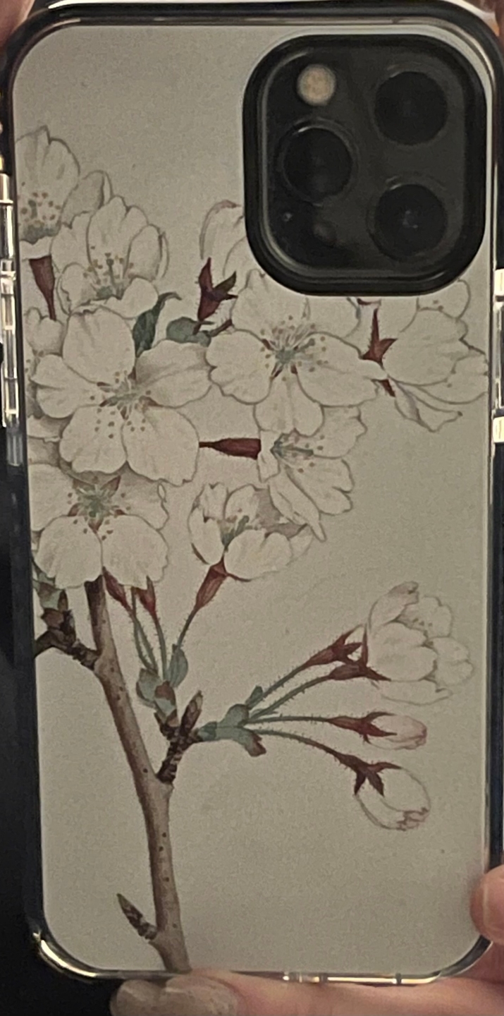 Vintage Japanese White Blossoms Floral Wallpaper iPhone Case