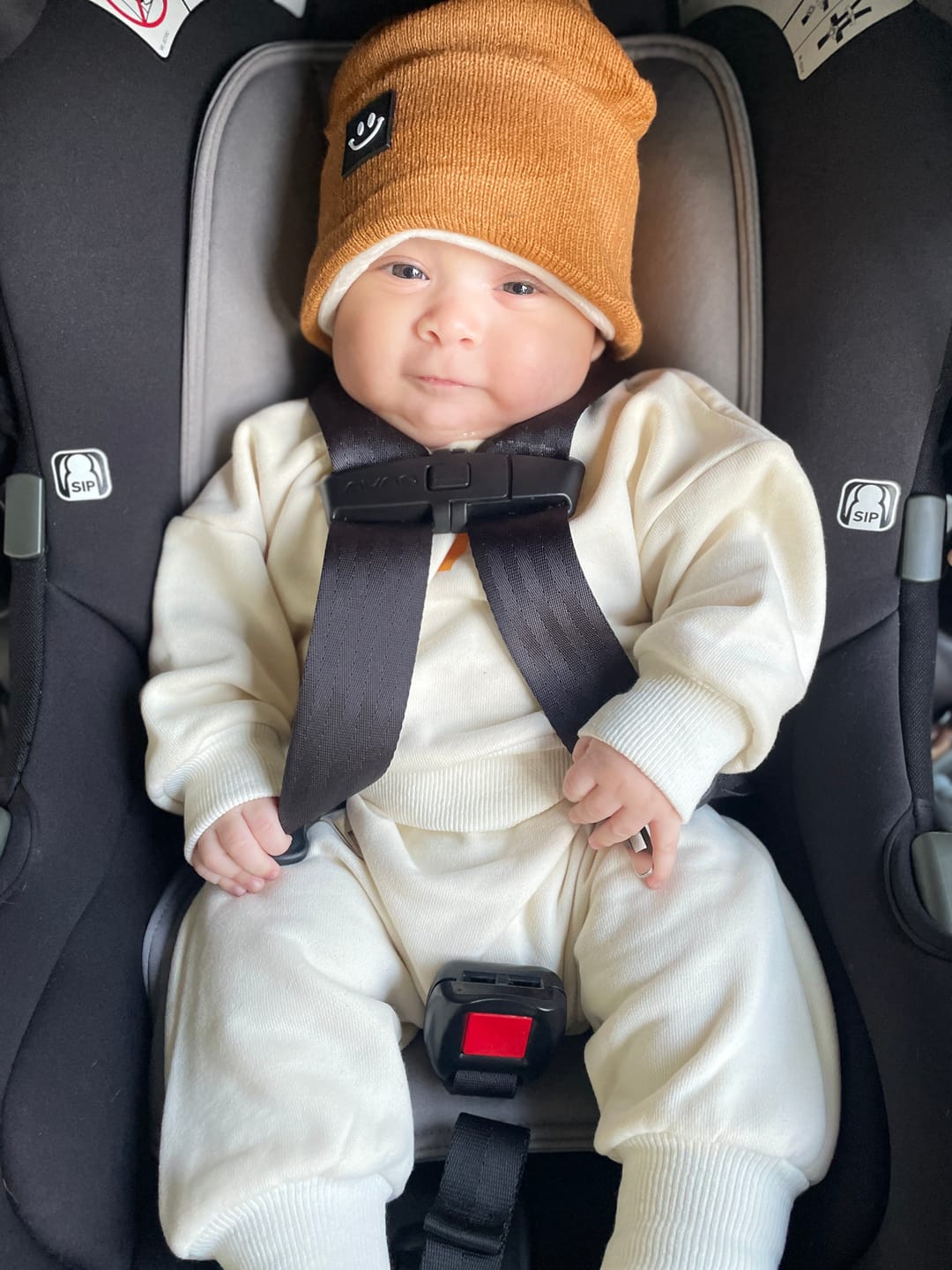 Customer photo review of Hi Winter Set