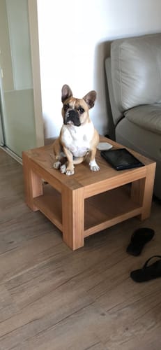 Customer photo review of Hemp Seed Oil for Dogs (200ml)
