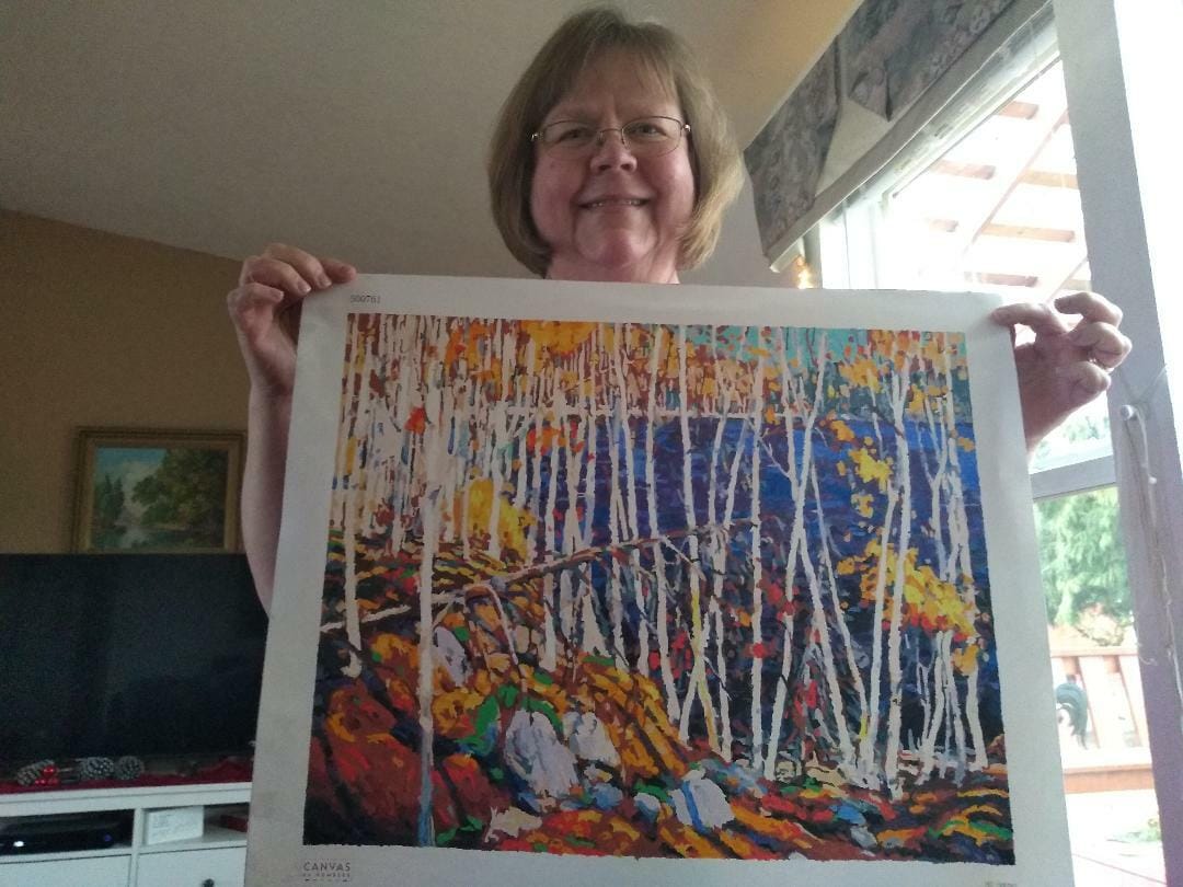 Customer photo review of In The Northland - Paint by Numbers