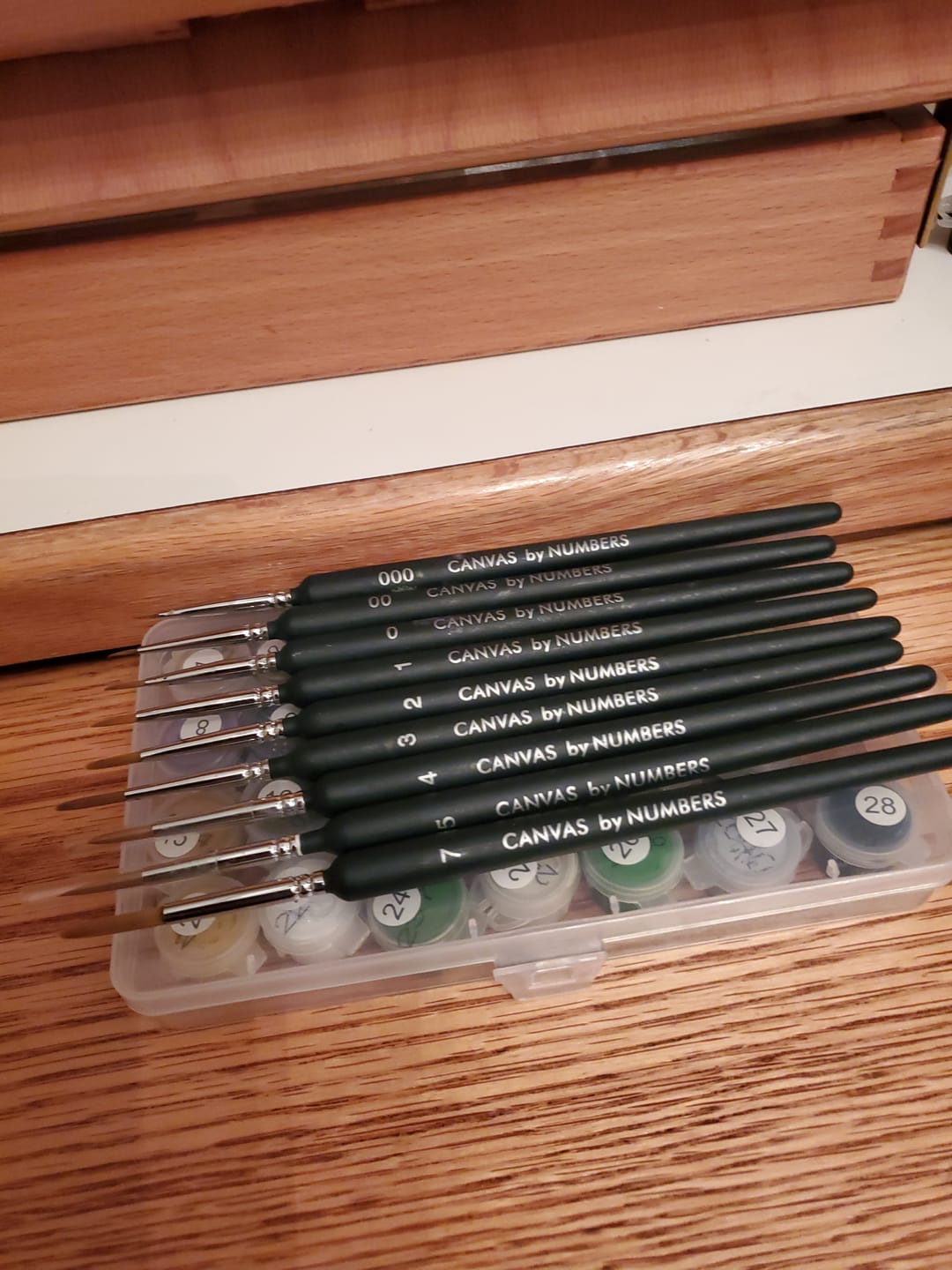 Customer photo review of Extra-Fine Detail Weasel Hair Brushes