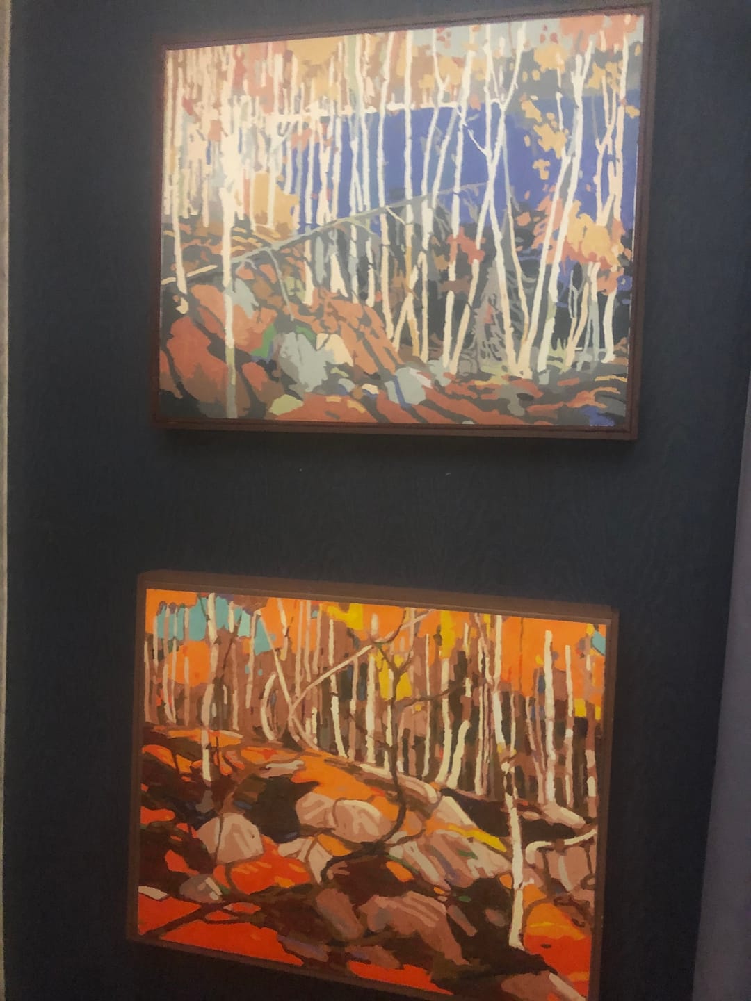 Customer photo review of In The Northland - Paint by Numbers