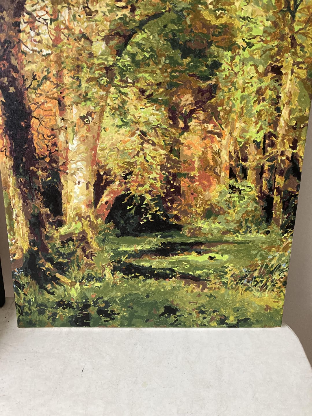 Customer photo review of Forest Scene - Paint by Numbers