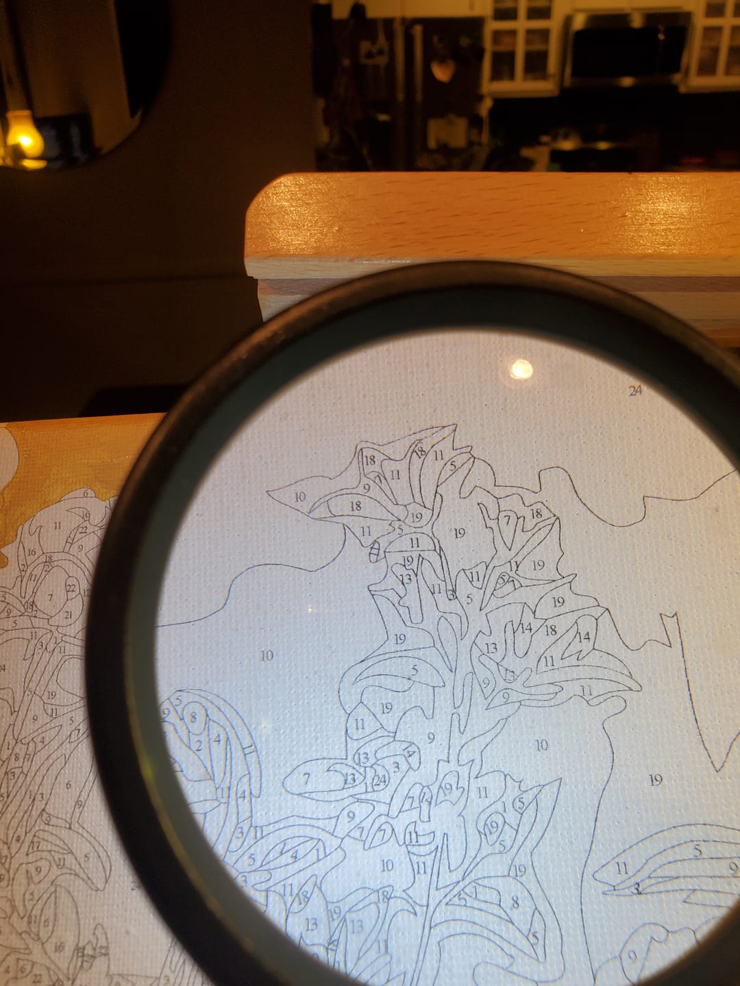 Customer photo review of Portable 3X and 45X Handheld Magnifying Glass with LED Lights