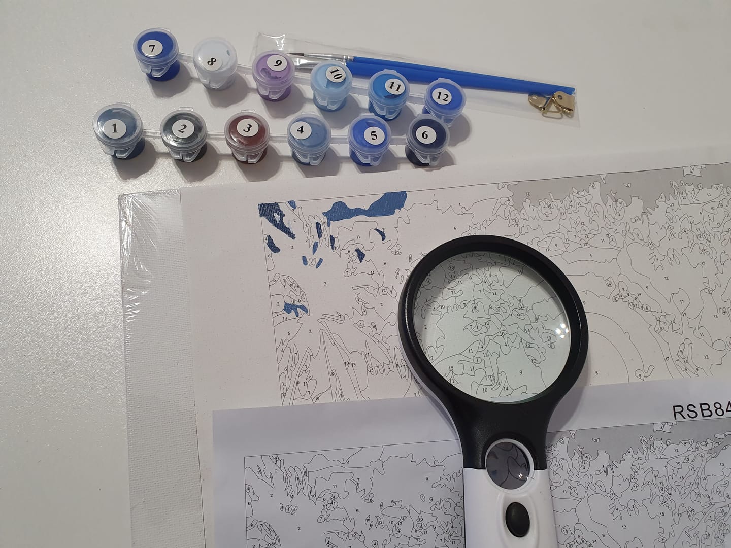 Customer photo review of Portable 3X and 45X Handheld Magnifying Glass with LED Lights
