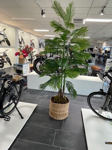 Customer photo review of Kunstpalm 210cm