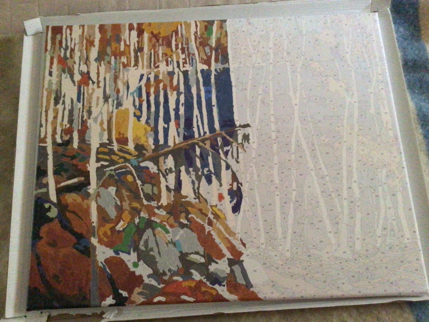 Customer photo review of In The Northland - Paint by Numbers