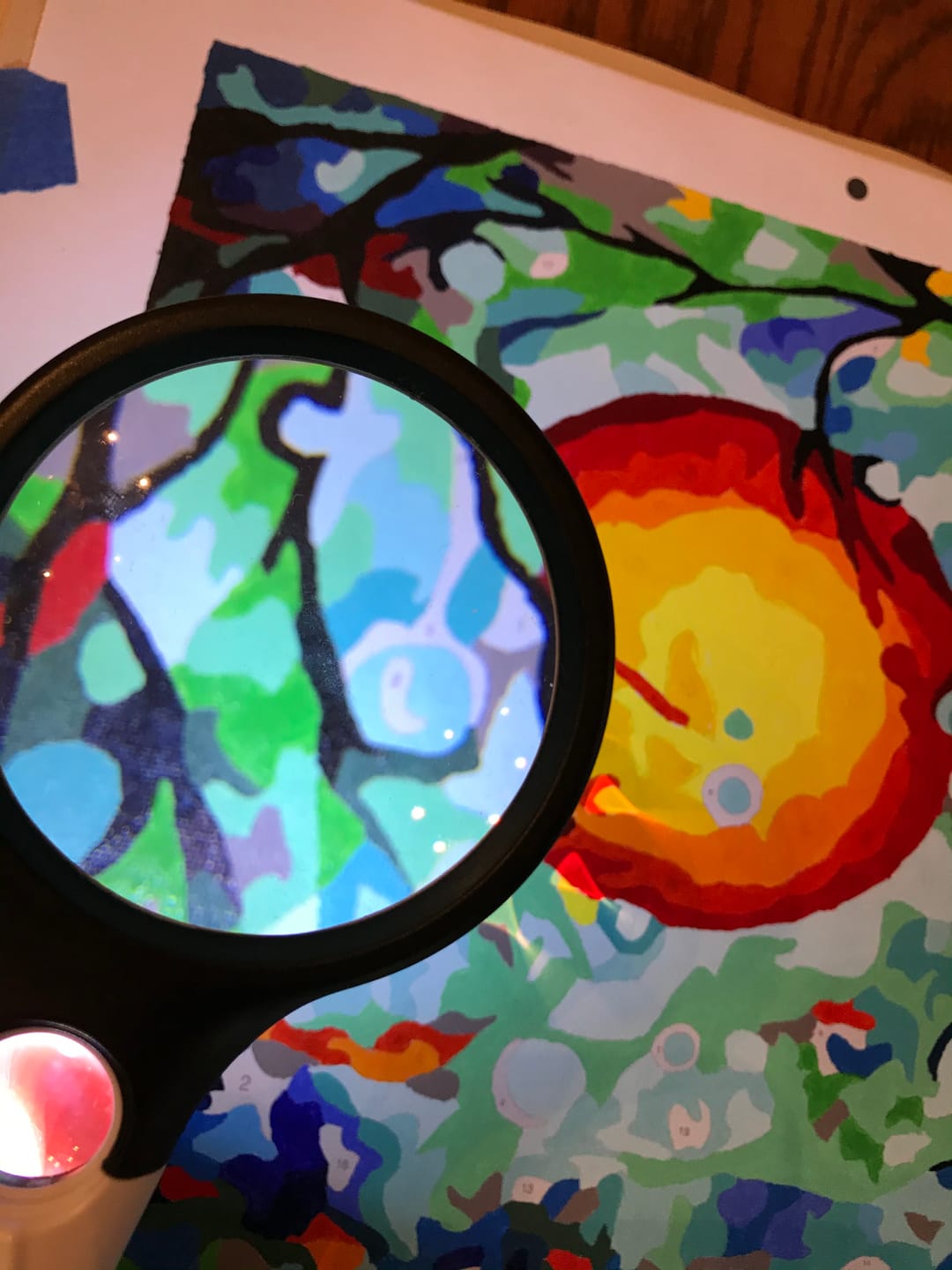 Customer photo review of Portable 3X and 45X Handheld Magnifying Glass with LED Lights