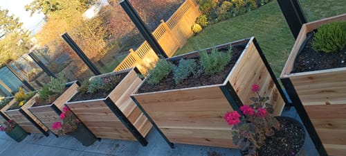 Customer photo review of 18" x 36" Planter Box - 24" Tall