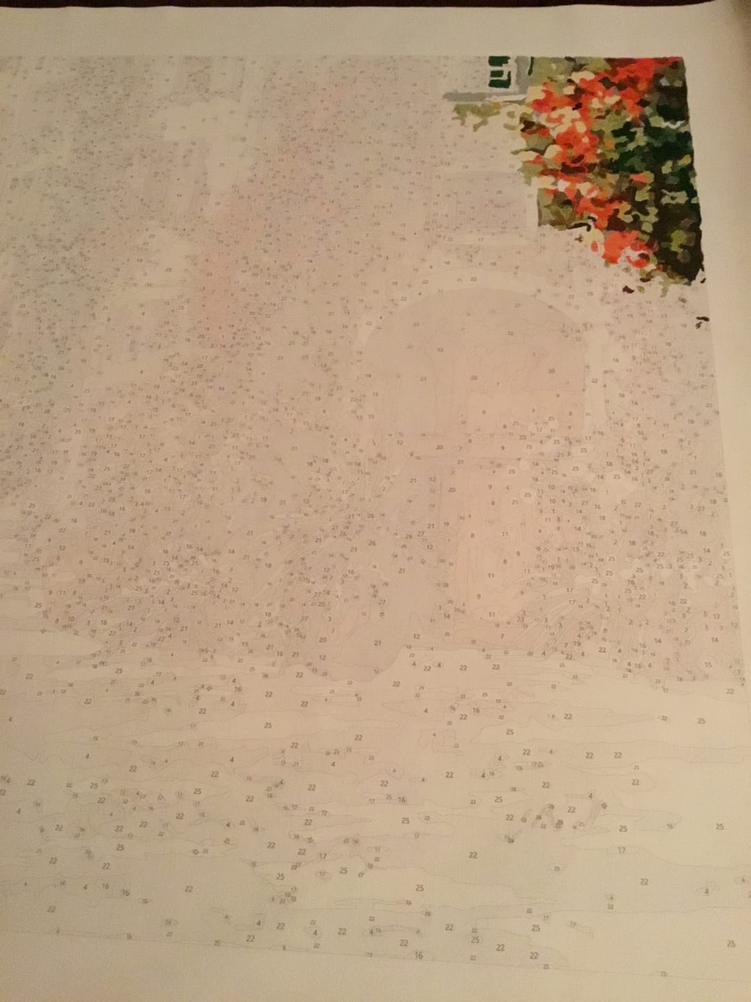 Customer photo review of La Porta Rossa sulla Salita - Paint by Numbers