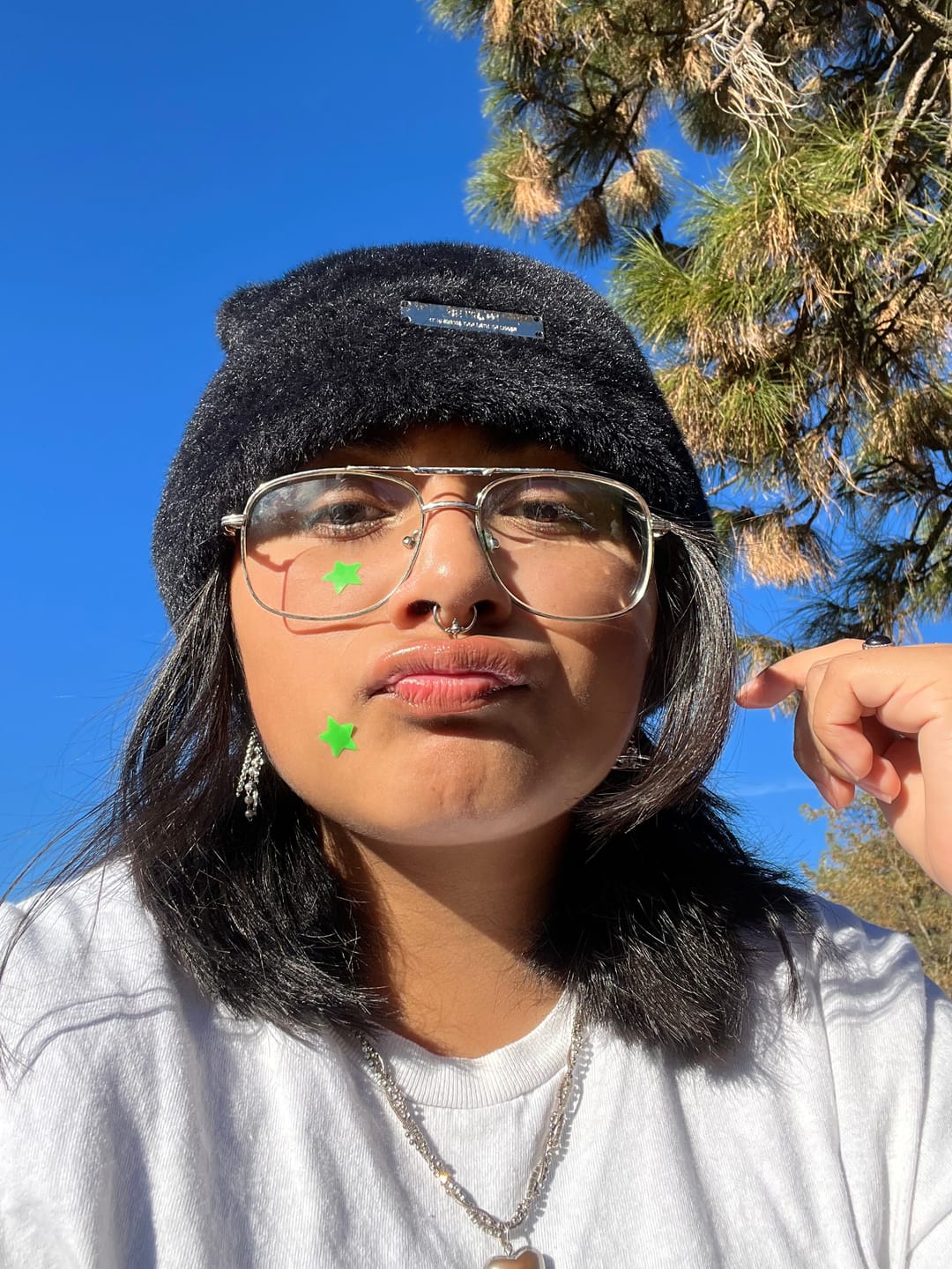Customer photo review of FAUX DYT SEPTUM