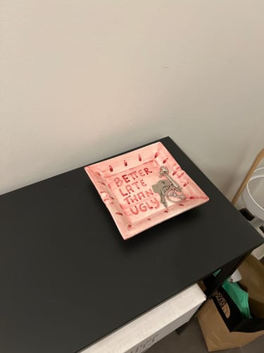 Customer photo review of "Better Late than Ugly" catchall