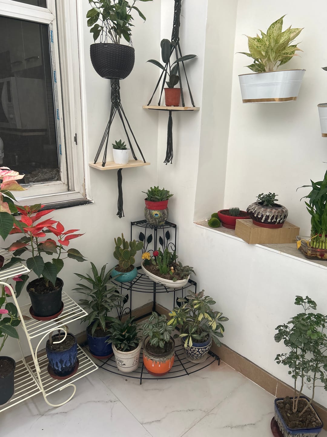 Customer photo review of 3 Tier Plant Stand Floral Corner Shelf Metal Flower Pot